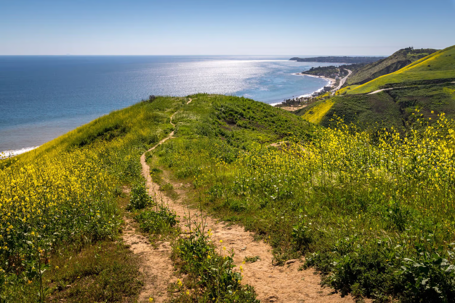 Peaceful photo of an oceanfront